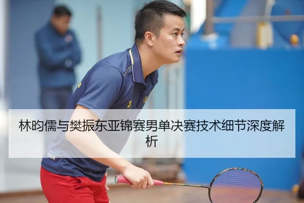 林昀儒与樊振东亚锦赛男单决赛技术细节深度解析（Xingcai）